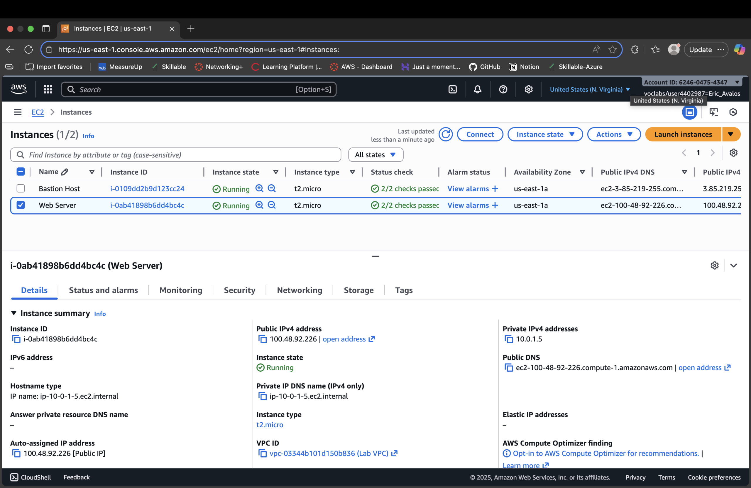 EC2 Web Server instance details in Lab VPC